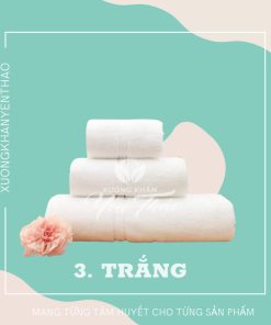 khăn màu khách sạn êm ái dịu nhẹ