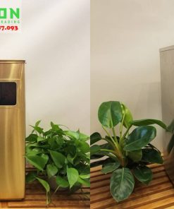 thùng rác nhập khẩu mới nhất
